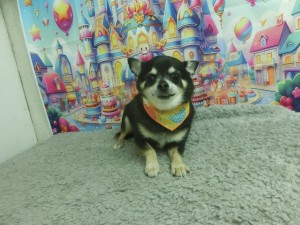 CIMG0025