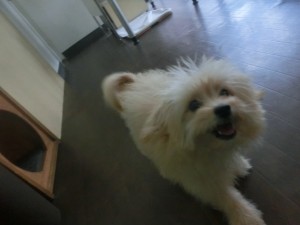 CIMG0033