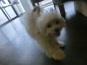 CIMG0034