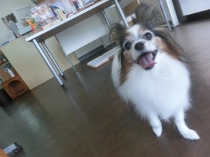 CIMG0036