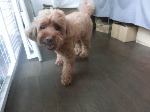 CIMG0039