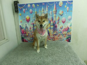 CIMG0044
