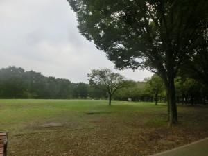 CIMG0046