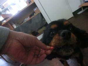 CIMG0051