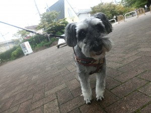 CIMG0056