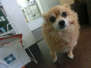 CIMG0058
