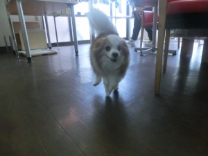 CIMG0059