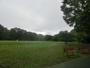 CIMG0060