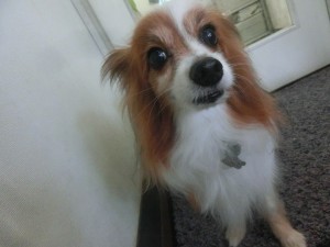 CIMG0064
