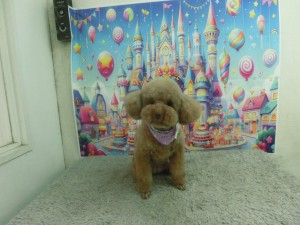 CIMG0082