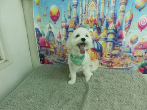 CIMG0085