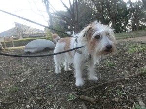 CIMG0086