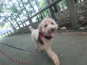 CIMG0086