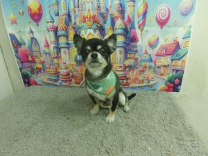 CIMG0088