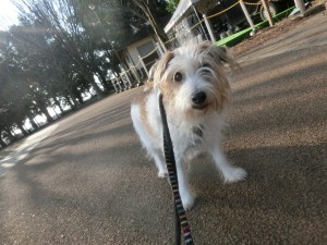 CIMG0089