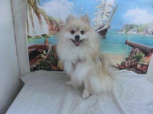 CIMG0091