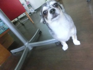 CIMG0092