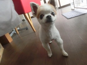 CIMG0092