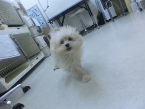 CIMG0094