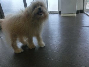 CIMG0097