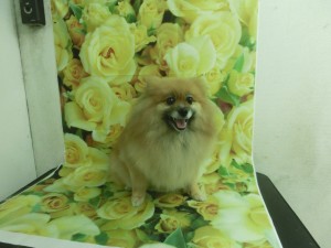 CIMG0097