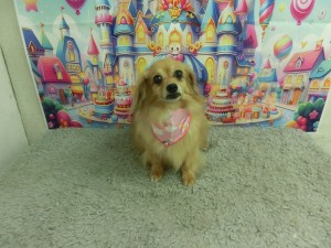 CIMG0097