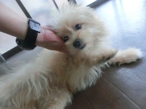 CIMG0099