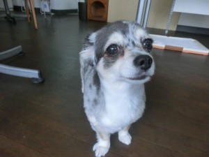 CIMG0108