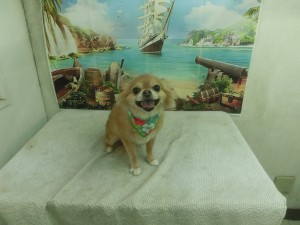 CIMG0109