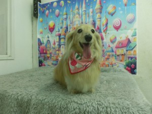 CIMG0115