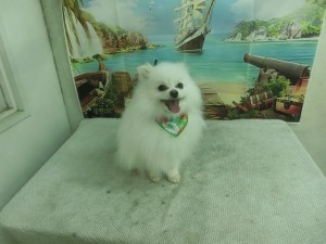 CIMG0129