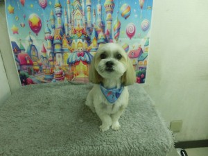 CIMG0130
