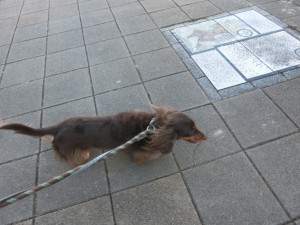 CIMG0159