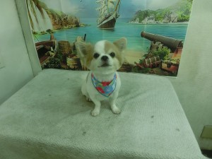 CIMG0169