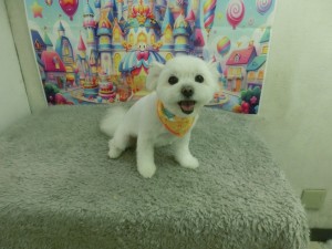 CIMG0188