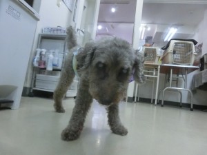 CIMG0200
