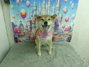 CIMG0205