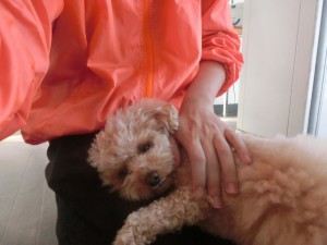 CIMG0206