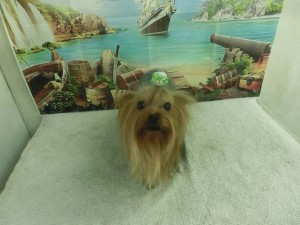CIMG0208