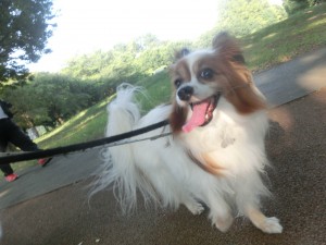 CIMG0208