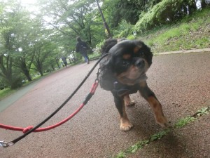 CIMG0209