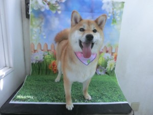 CIMG0210