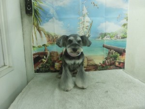 CIMG0214