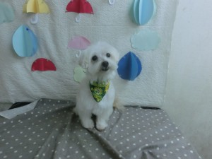 CIMG0216