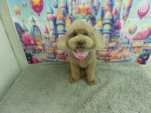 CIMG0218