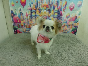 CIMG0220