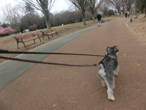 CIMG0226