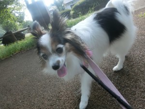 CIMG0227