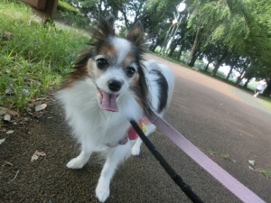 CIMG0228
