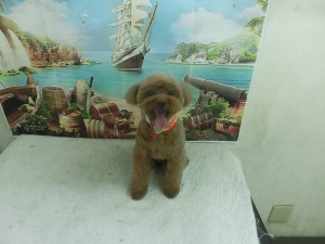 CIMG0231